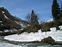 2006-05-10 007.JPG
